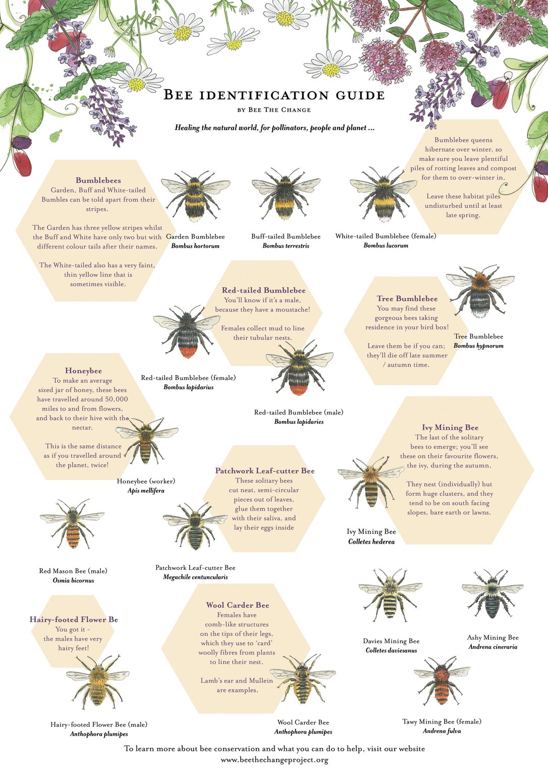 Sarah Dowling Bee ID poster