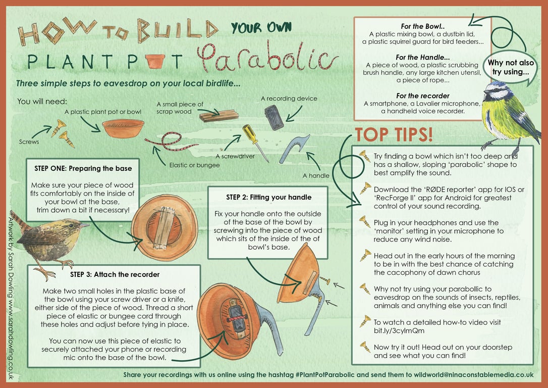 Sarah Dowling Illustrated ‘how-to’ guide