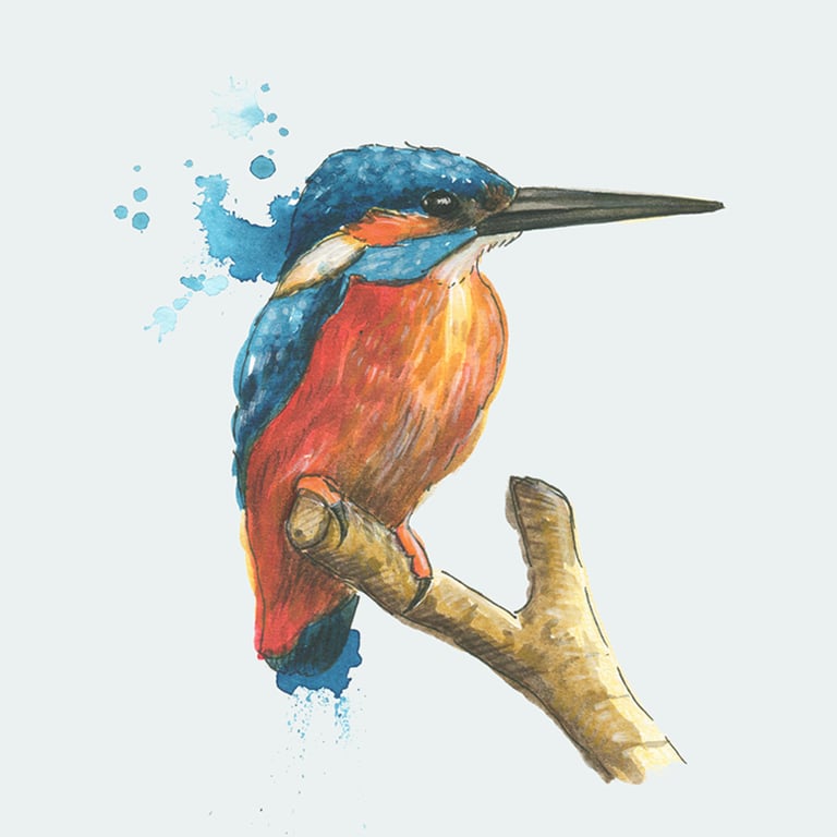Sarah Dowling Watercolour Kingfisher