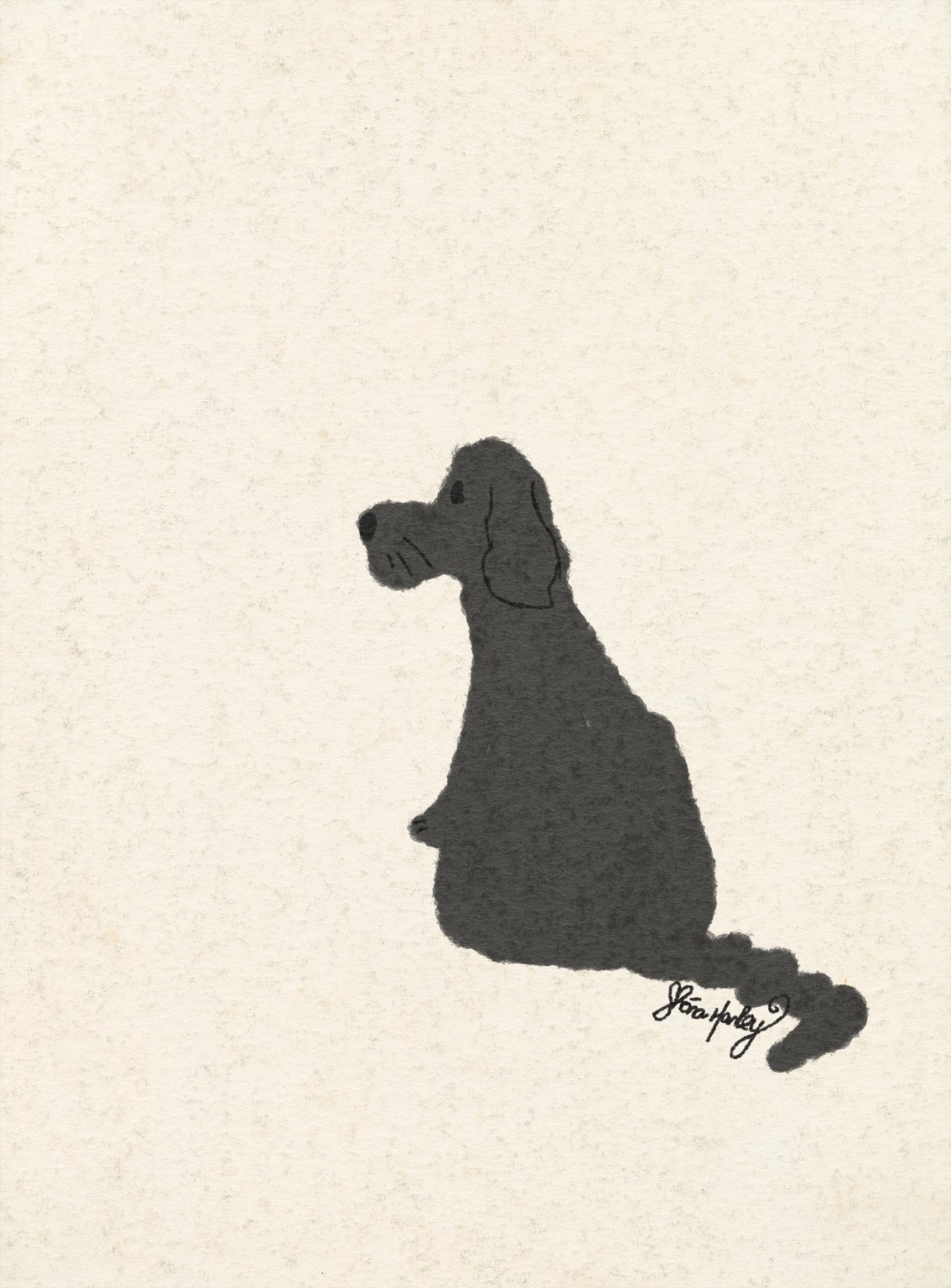 Shóna Hanley spanielshonahanley
