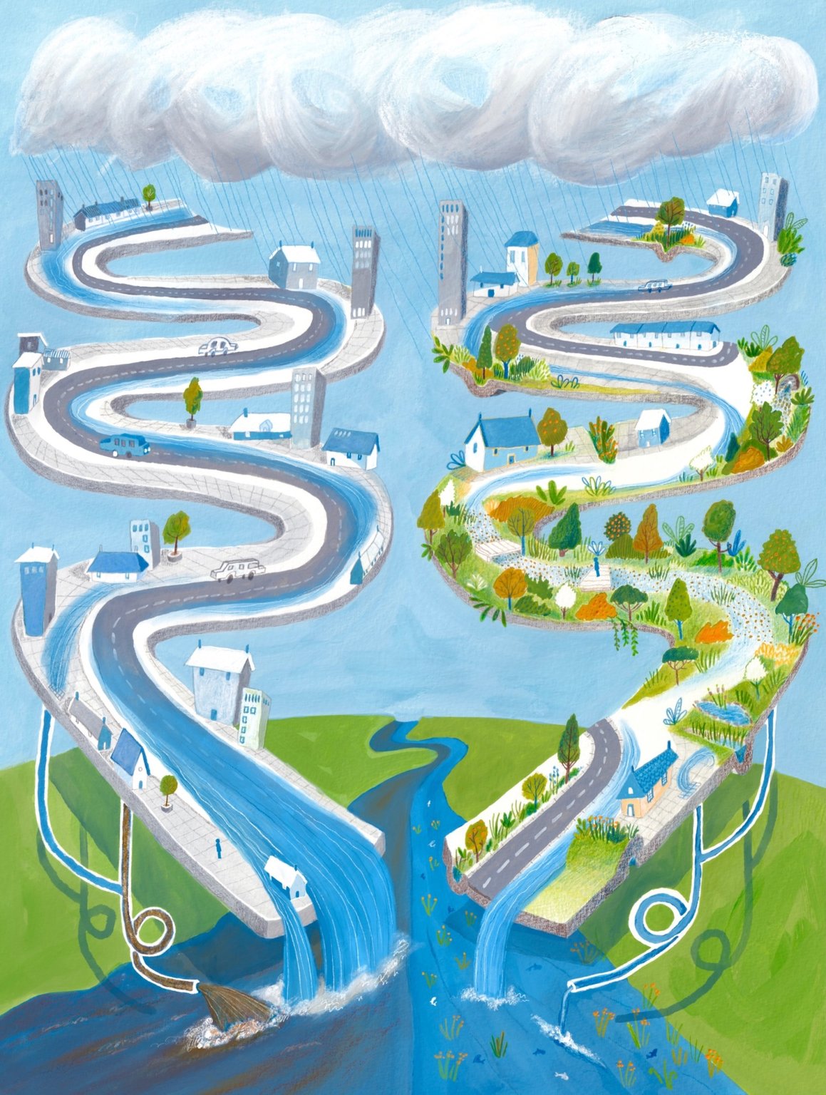 Kate Osmond Rain Garden BBC Wildlife low res