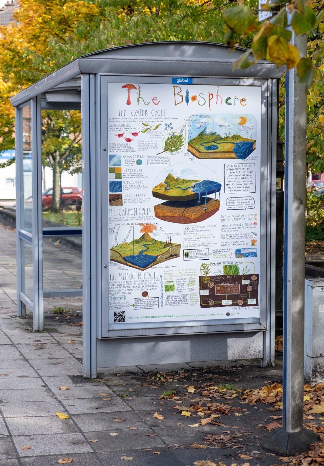Kate Osmond The Biosphere in situ