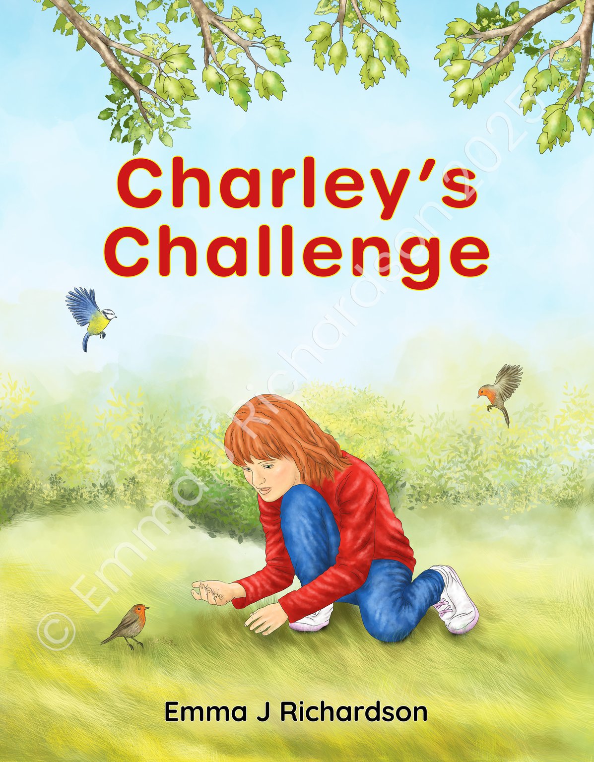 Emma J Richardson Charley’s Challenge