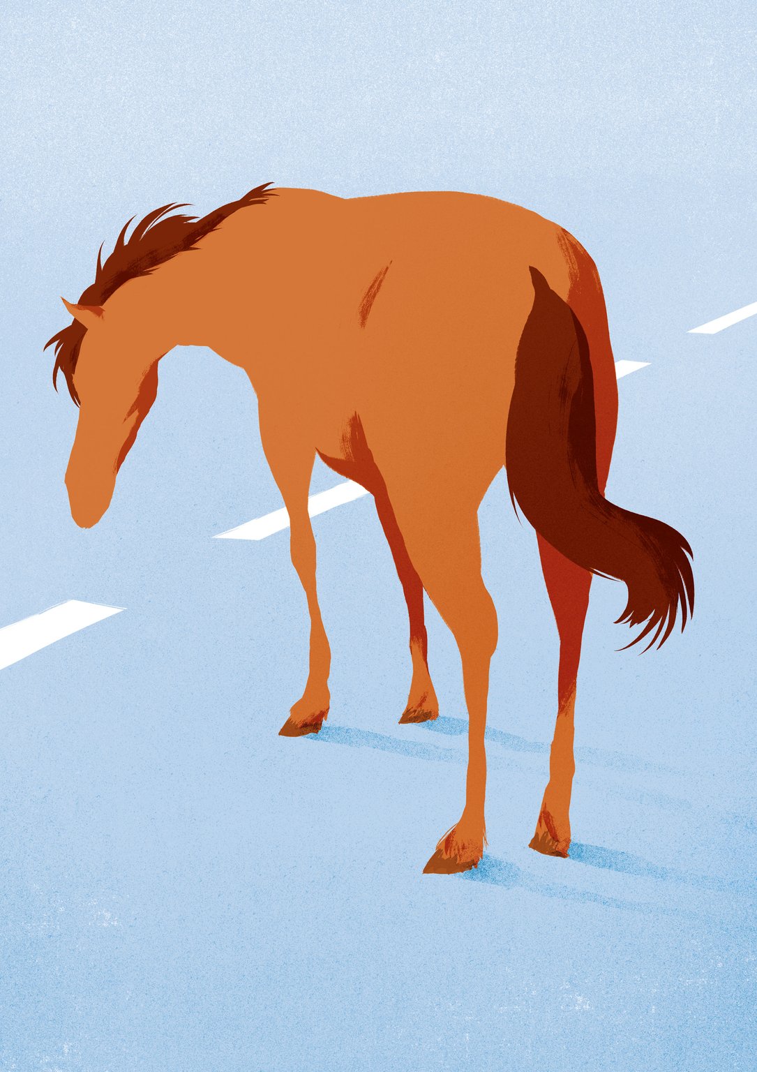 Sebastià Cabot Horse