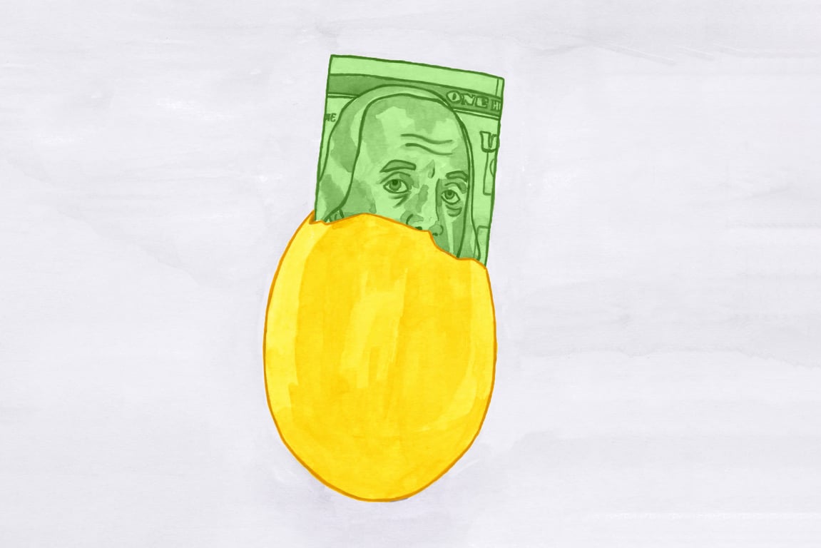 Hazal Bannach Rising Egg Prices