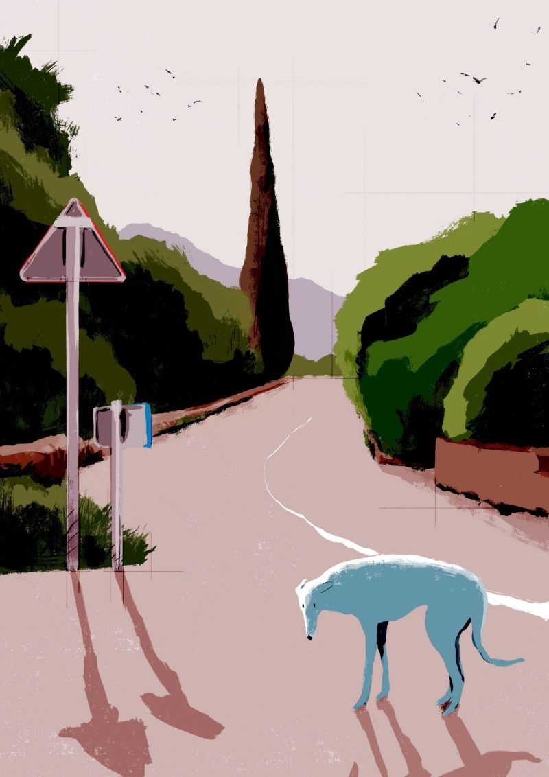 Sebastià Cabot Greyhound