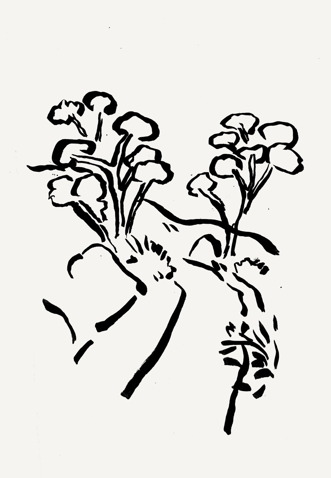 Miki Lowe Spanish pines, personal work