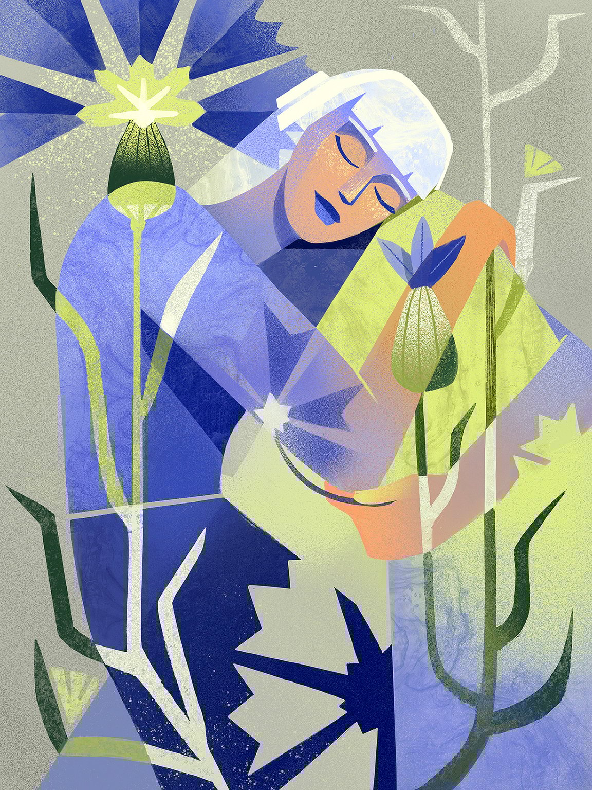 Daria Lada Cornflower. Spring Embrace