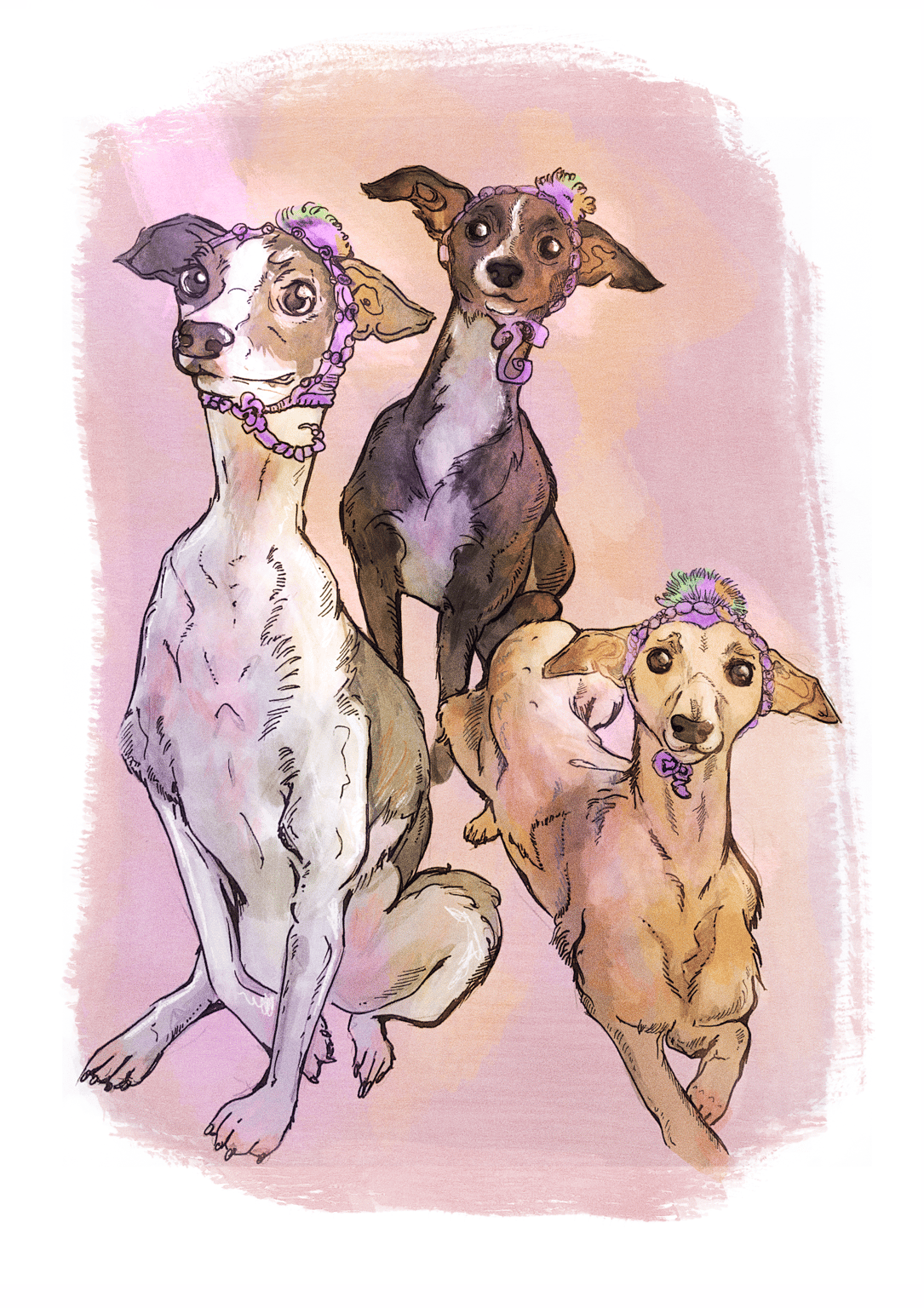 Cathy Stanford illustration Whippet trio