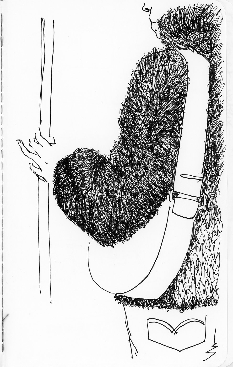 CARLA SAM fineline-passengers.5