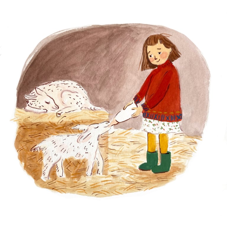 Carys Wright Lambing Season
