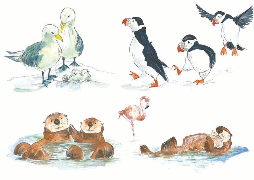 Karen Moore Birds and Otters