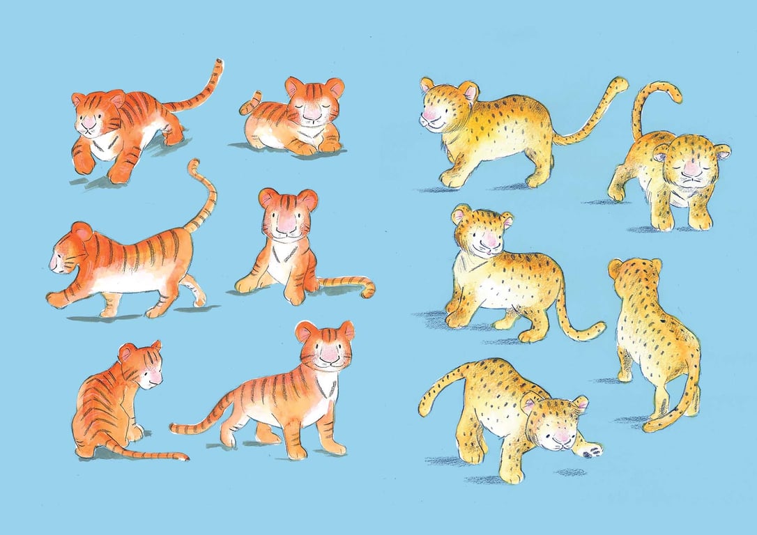 Karen Moore Tiger illustration