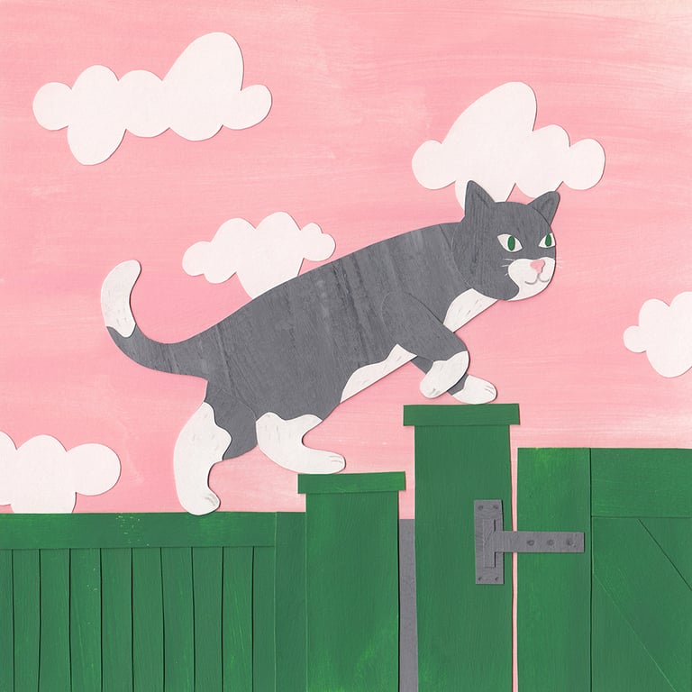 Chloe Isteed Grey Cat
