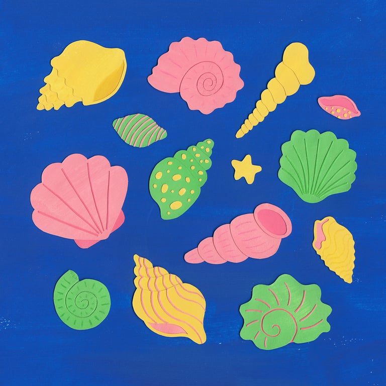 Chloe Isteed Seashells