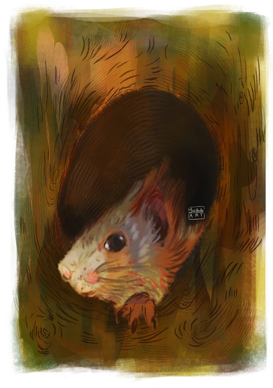 JuliHello Squirrel