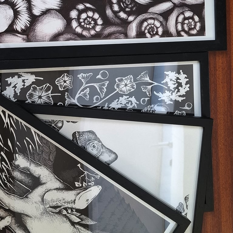 Molly Pack Exhibition Frames