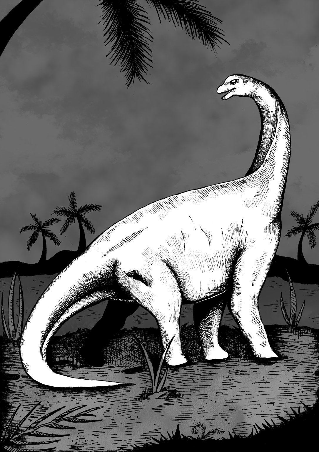 Molly Pack Cetiosaur