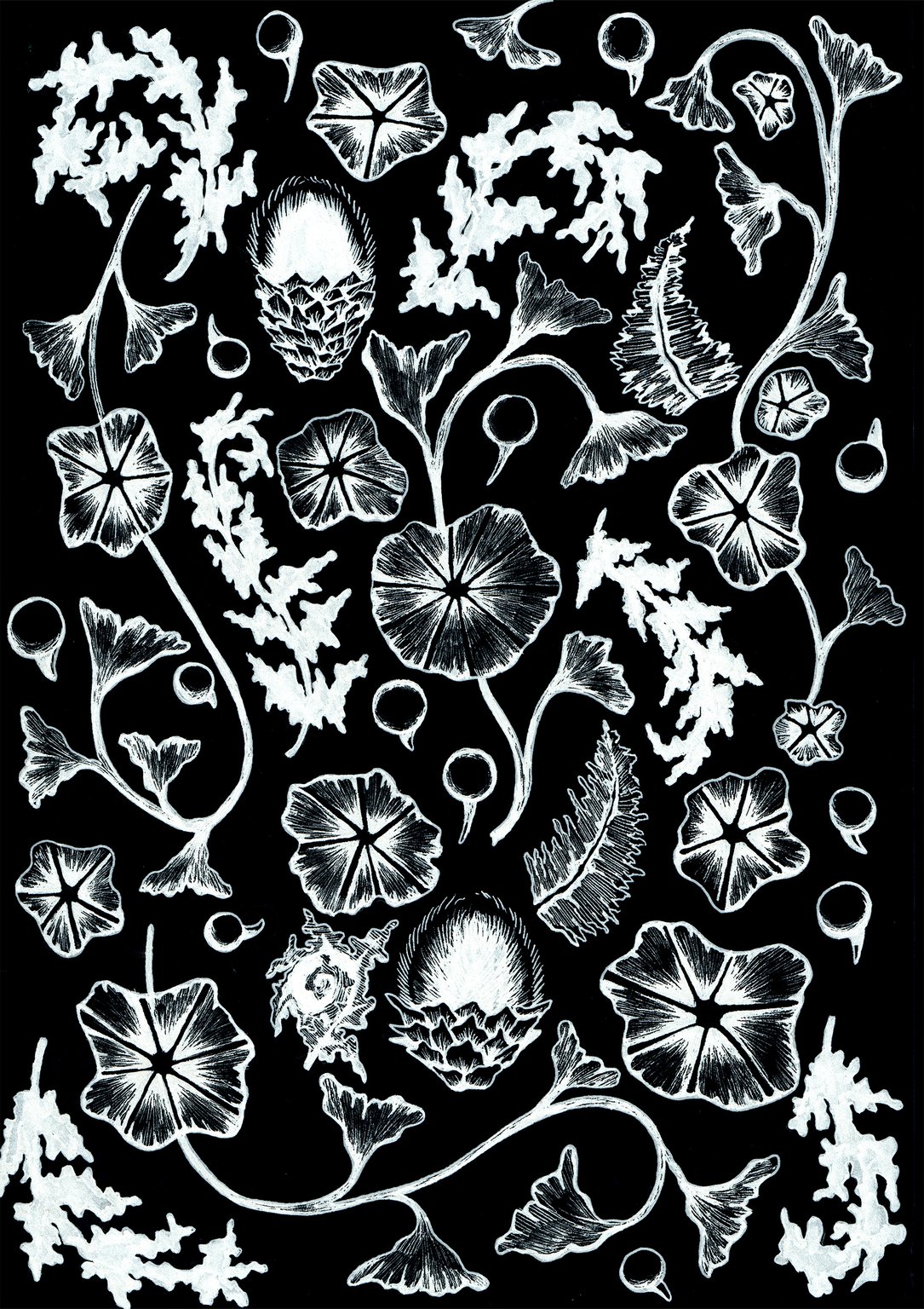 Molly Pack Jurassic Botanicals