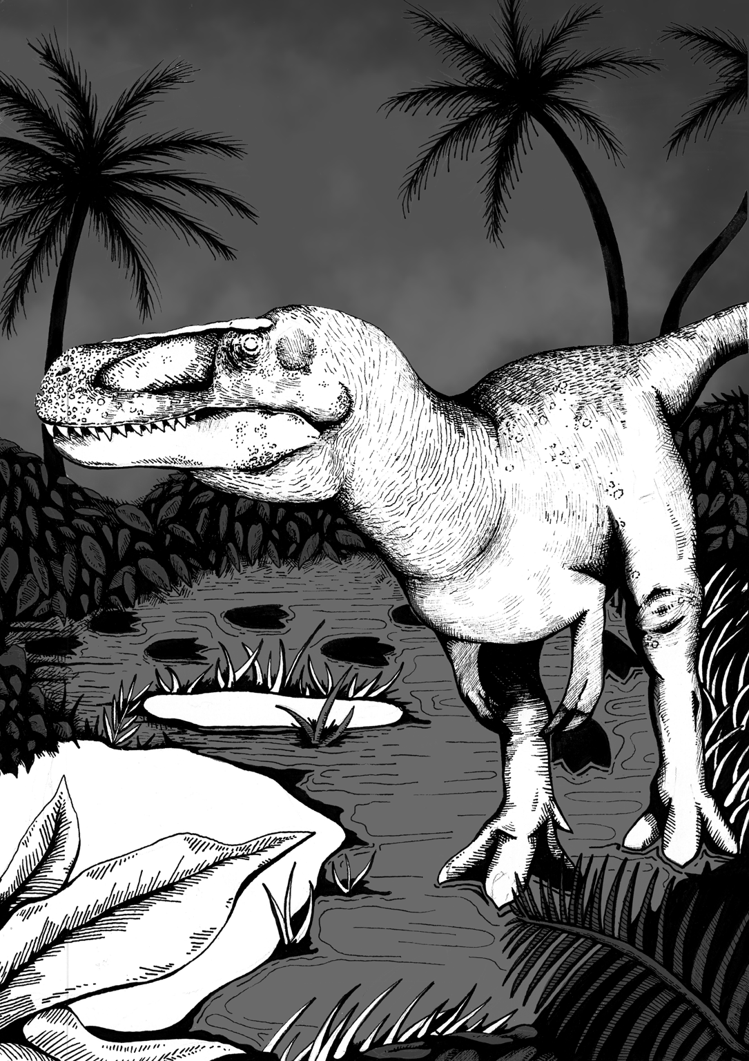 Molly Pack Megalosaurus