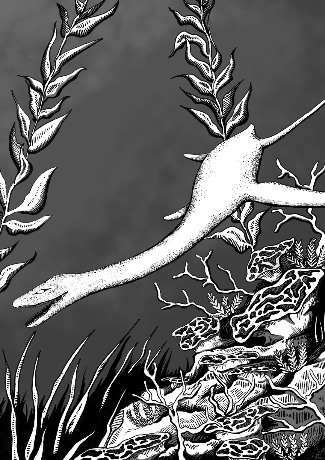 Molly Pack Plesiosaur