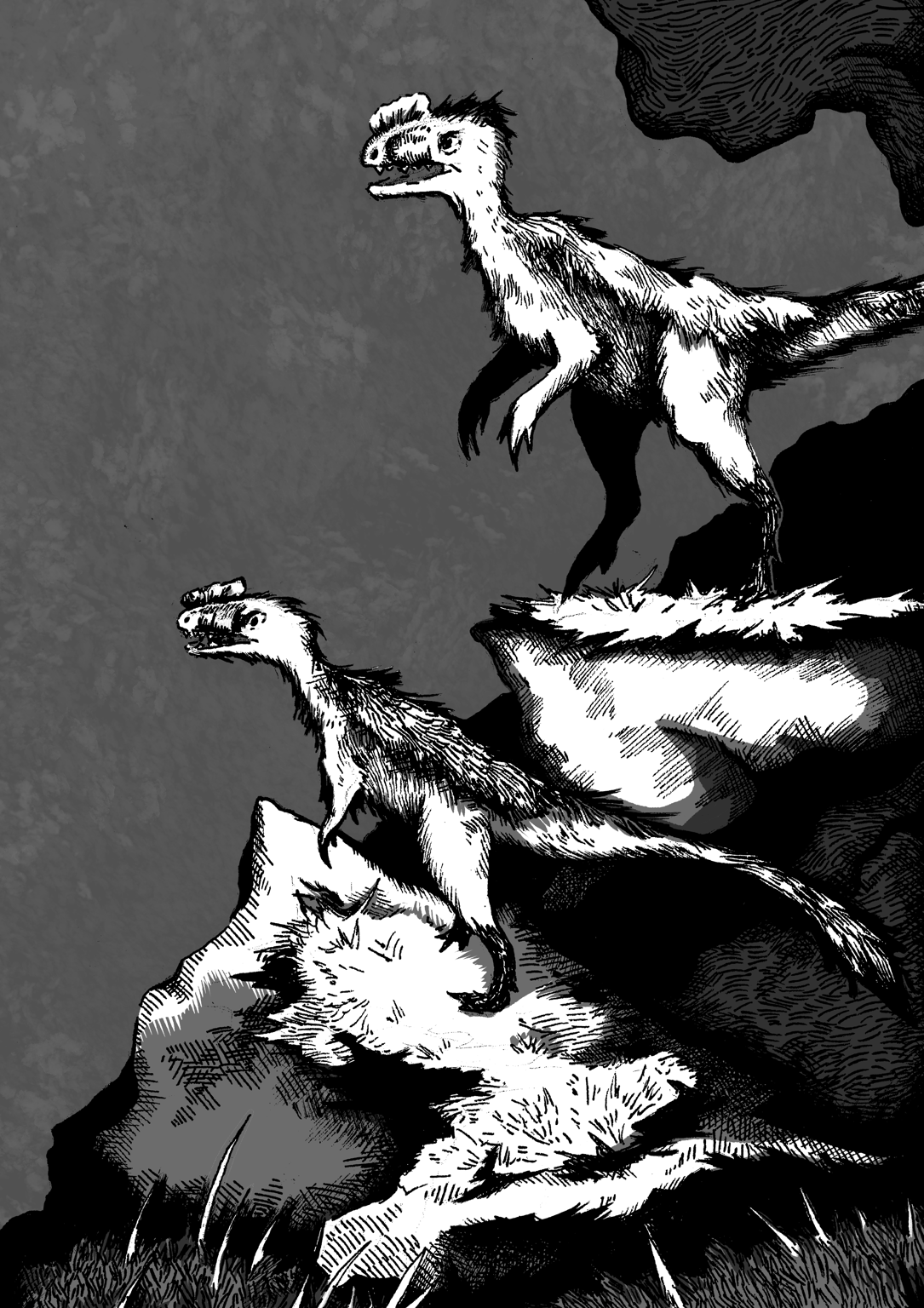 Molly Pack Protoceratosaurus