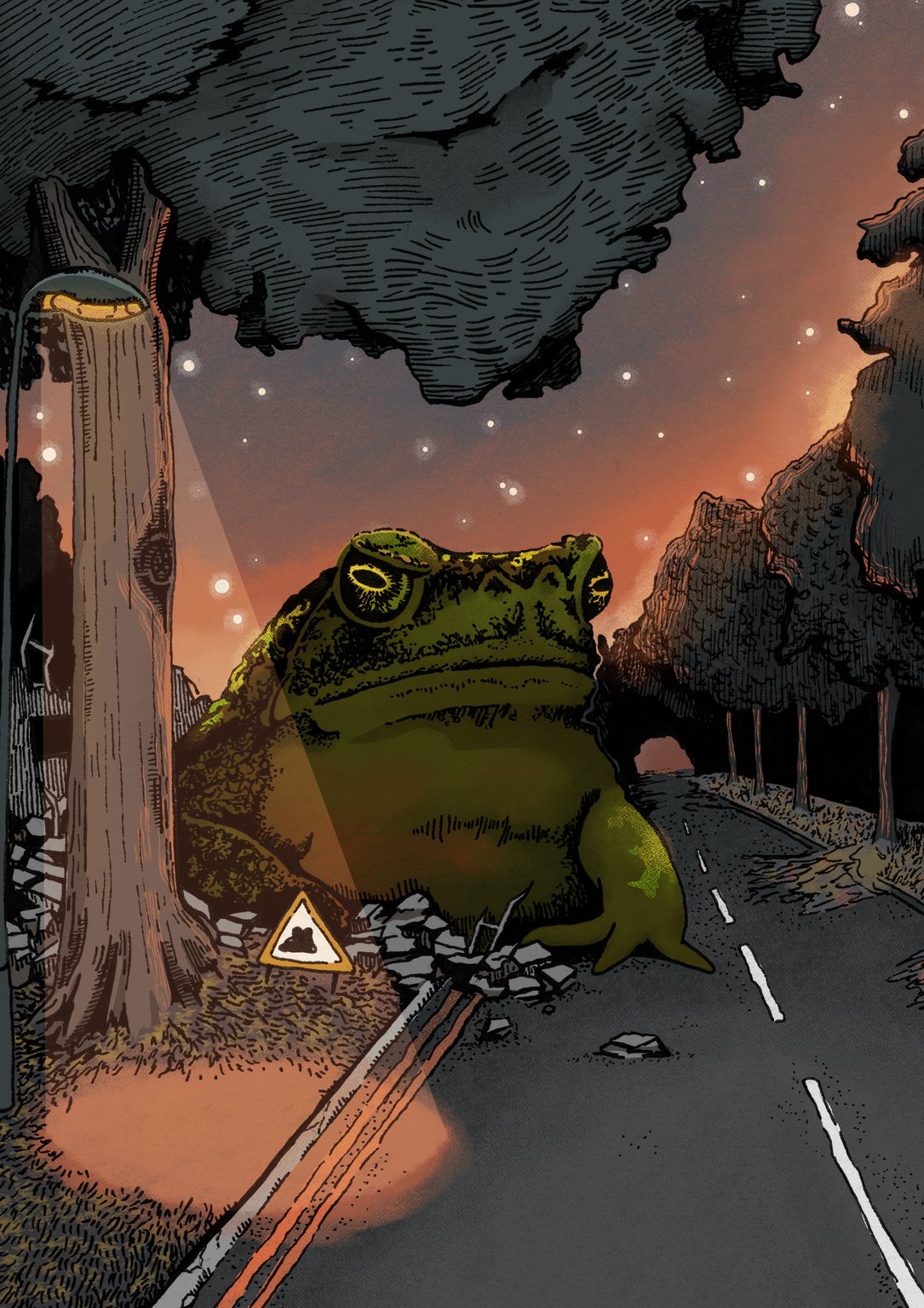 Molly Pack Road Toad