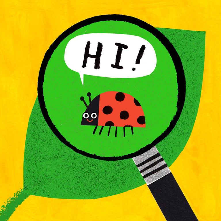 Northernillo ADAM_PRYCE_LADYBIRD
