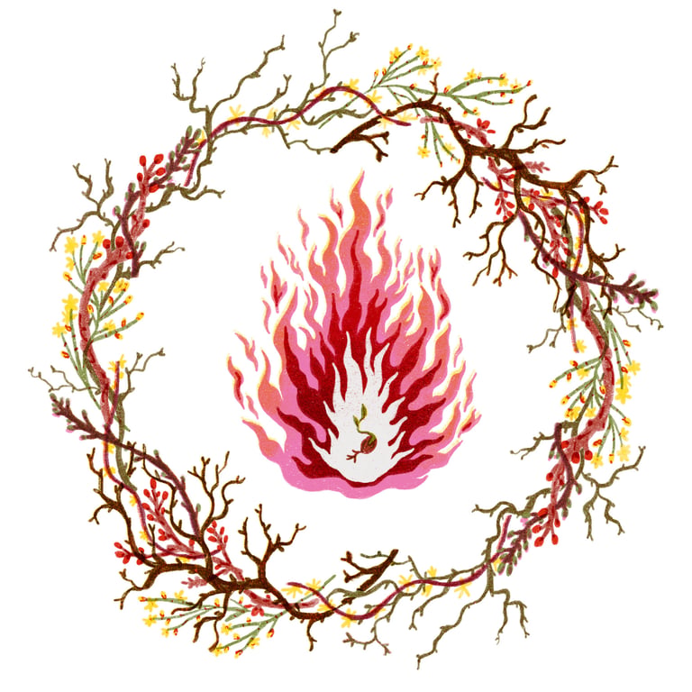 Lucy Wooler Imbolc