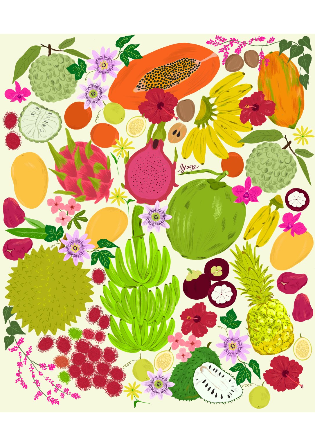 Ayang Cempaka Tropical fruits