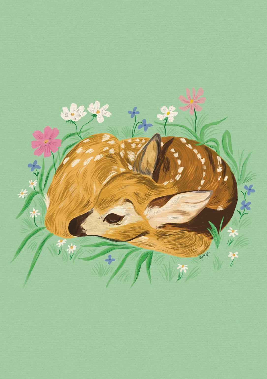 Ayang Cempaka Little Fawn