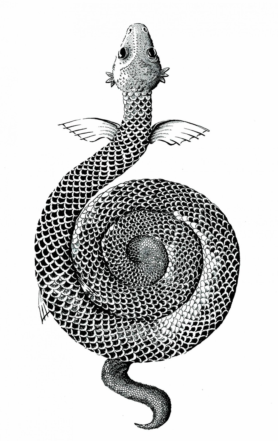 Sally Barnett (INKYMOTES) Fantasy Book illustration: Ada, Awake