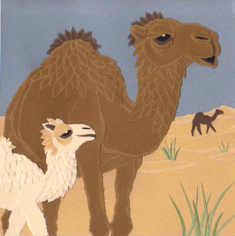 Janice Nicolson Camel Family