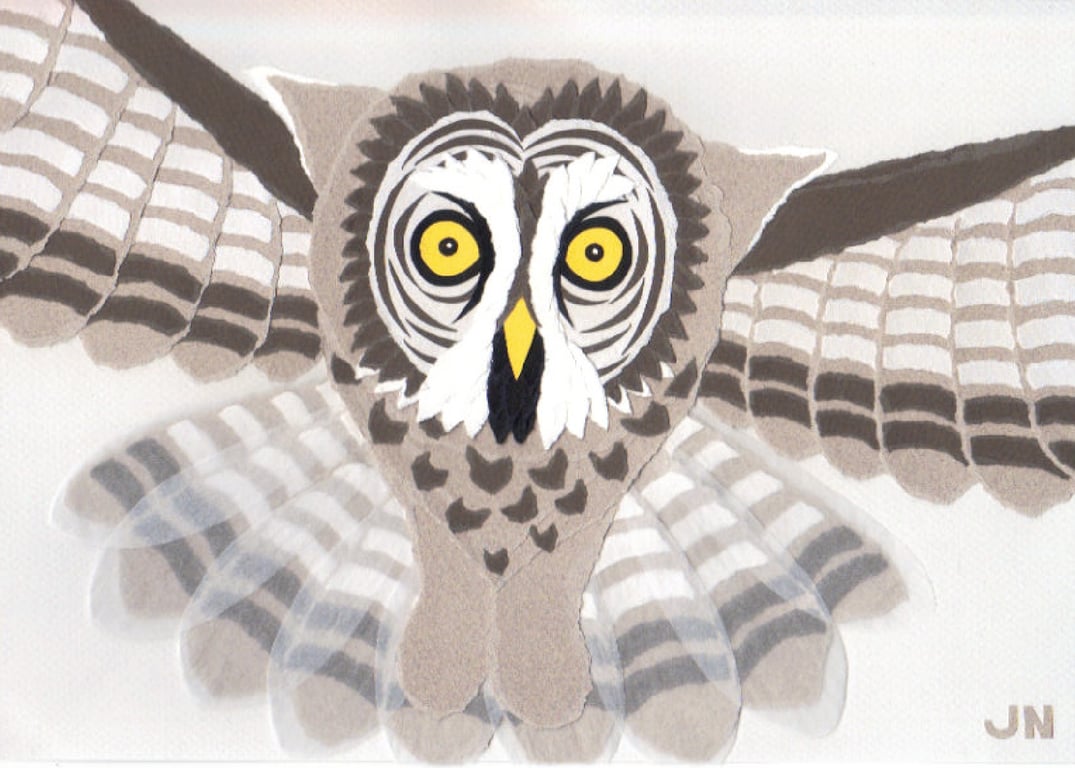 Janice Nicolson Great Grey Owl