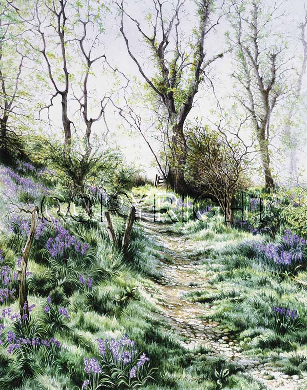 Linda Mary Ashdown Bluebells at St. Boniface