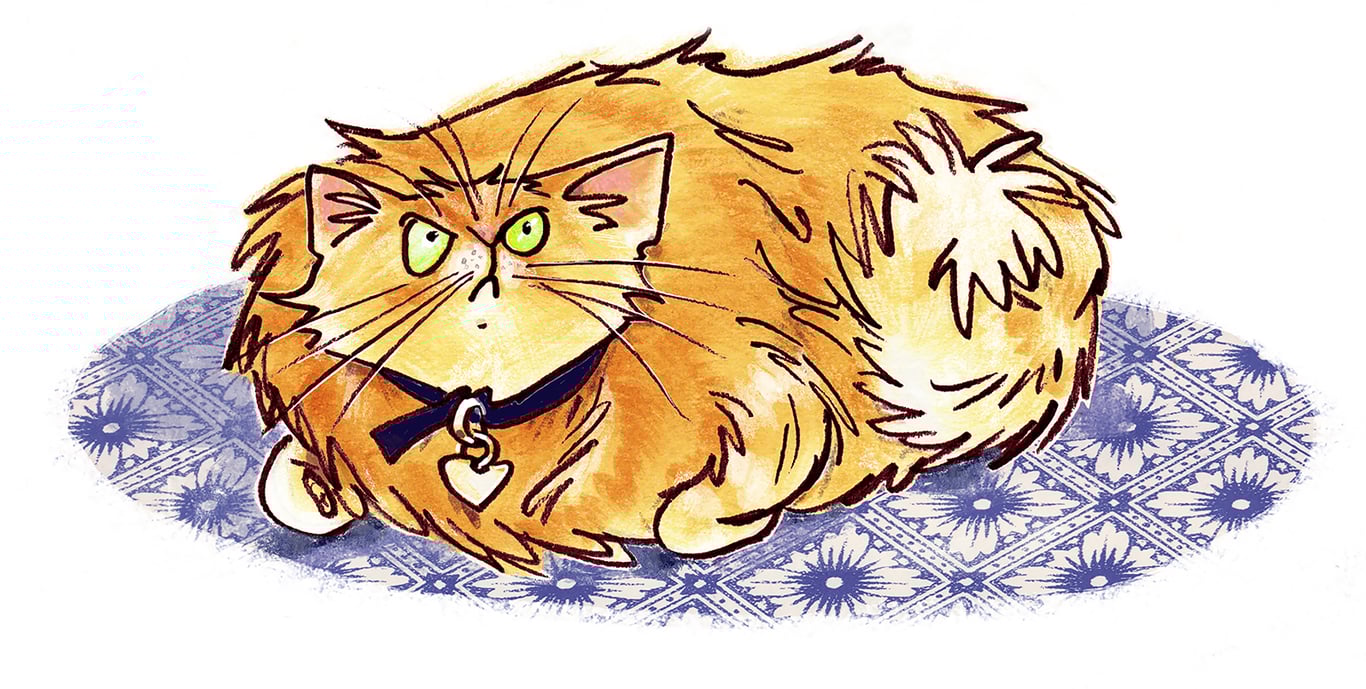 Karen Donnelly Cross cat on the tiles