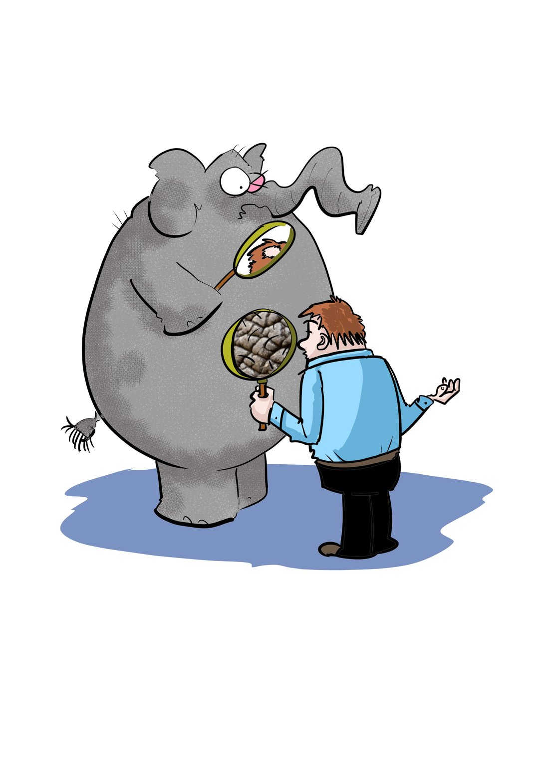 Spencer Hill Elephant