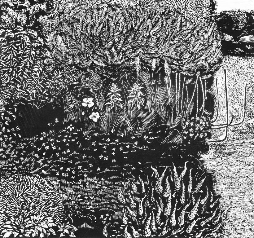 Margaret Jones Flower border