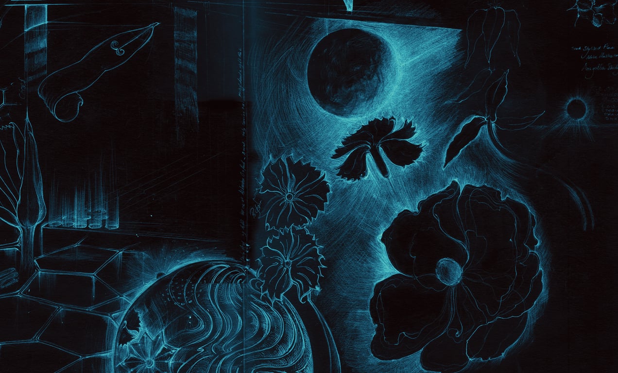 Margaret Jones Flowers & Time 2