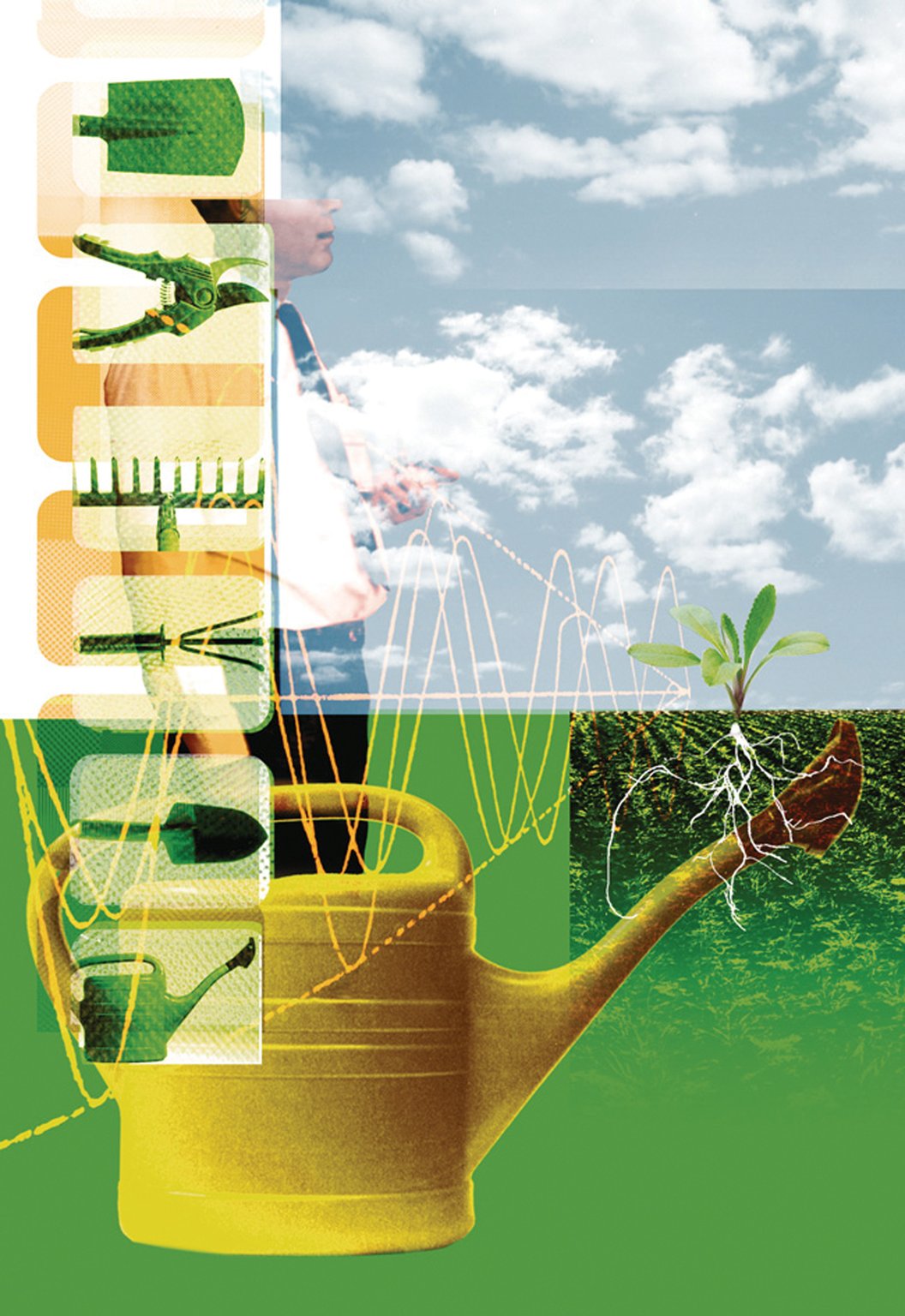 Nanette Hoogslag Growing Futures Green Office Ecology