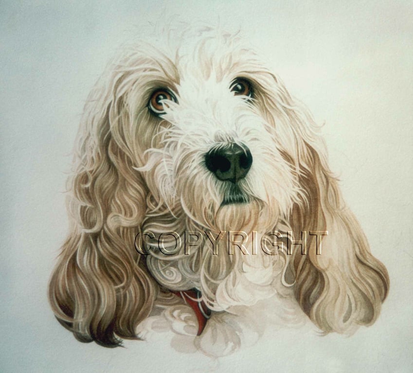 Linda Mary Ashdown Head of Ian’s Dog