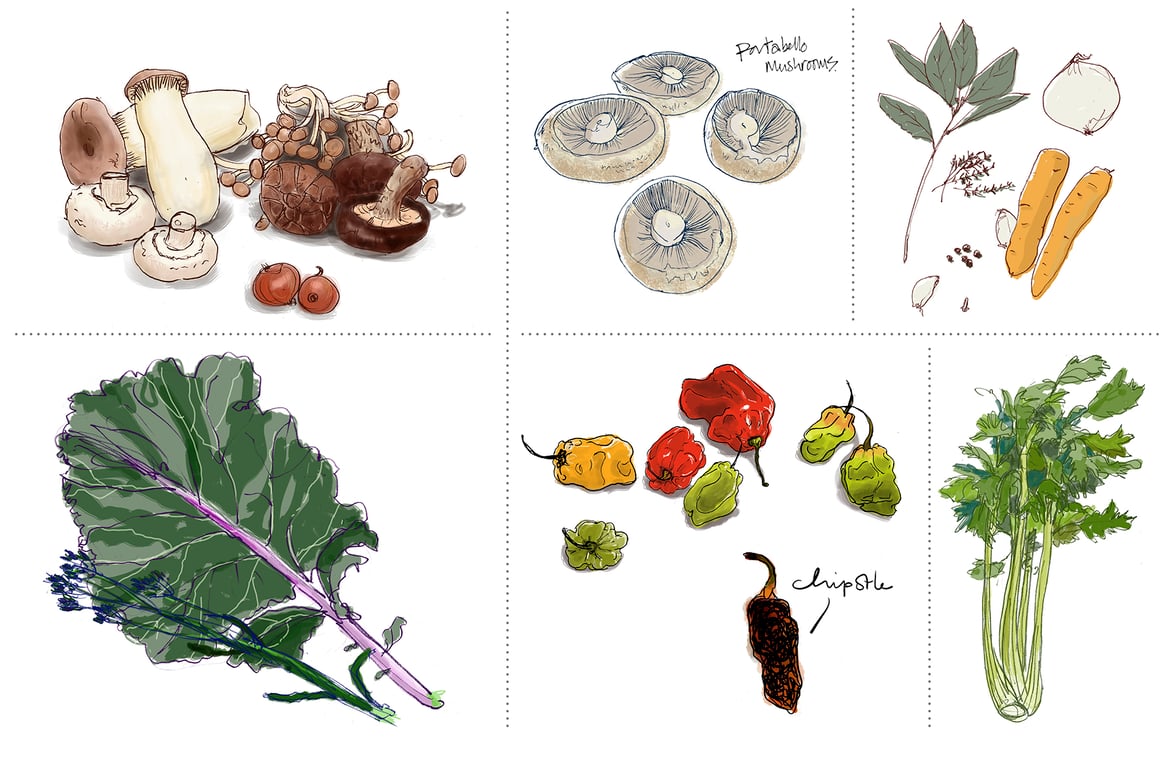 Ailbhe Phelan Herbs and vegetables