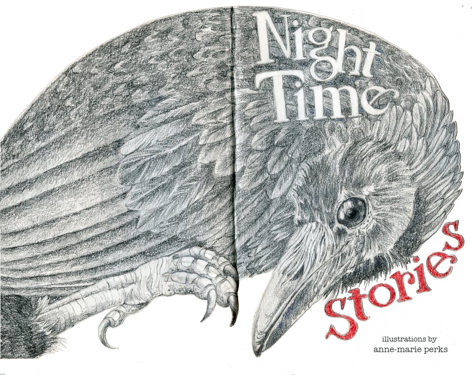 Anne-Marie Perks Night time stories cover