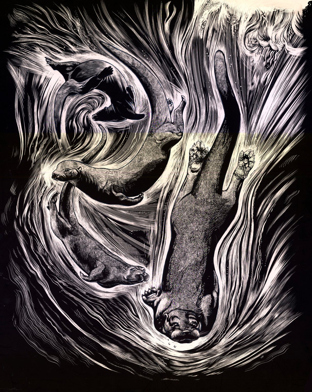 Jerry Hoare otters
