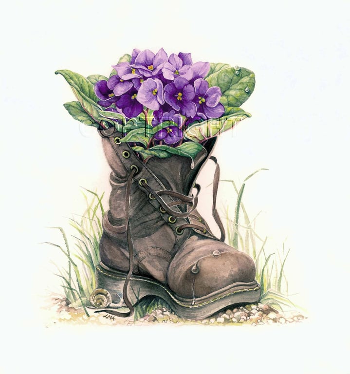 Linda Mary Ashdown Penny’s Boot!