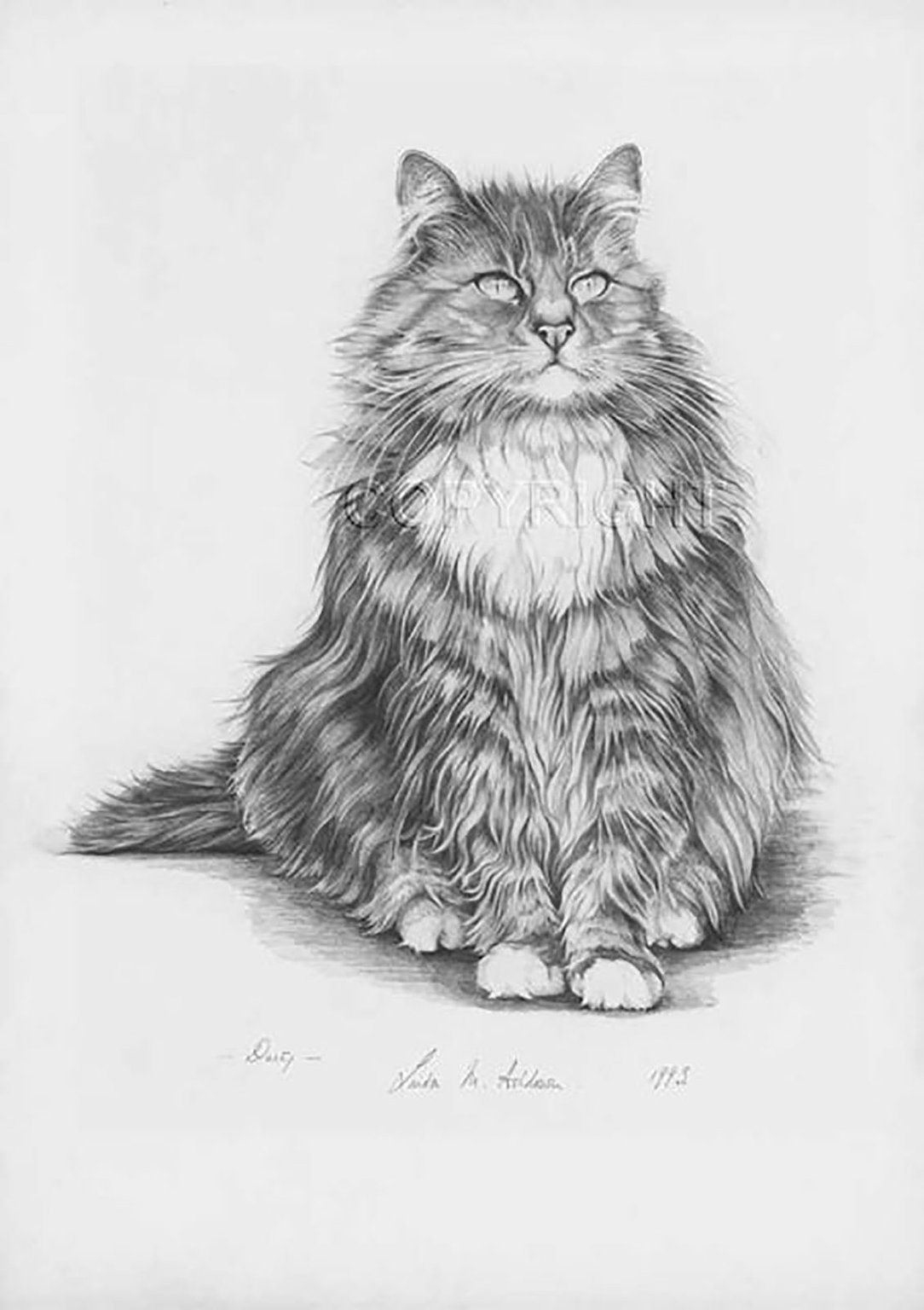 Linda Mary Ashdown Portrait of