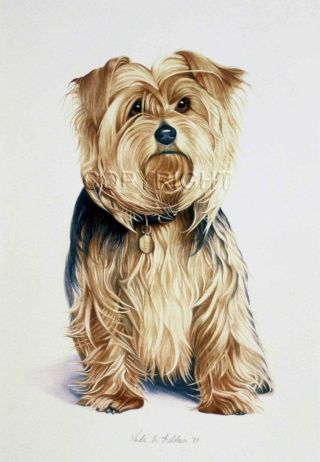 Linda Mary Ashdown Portrait of “Tia”
