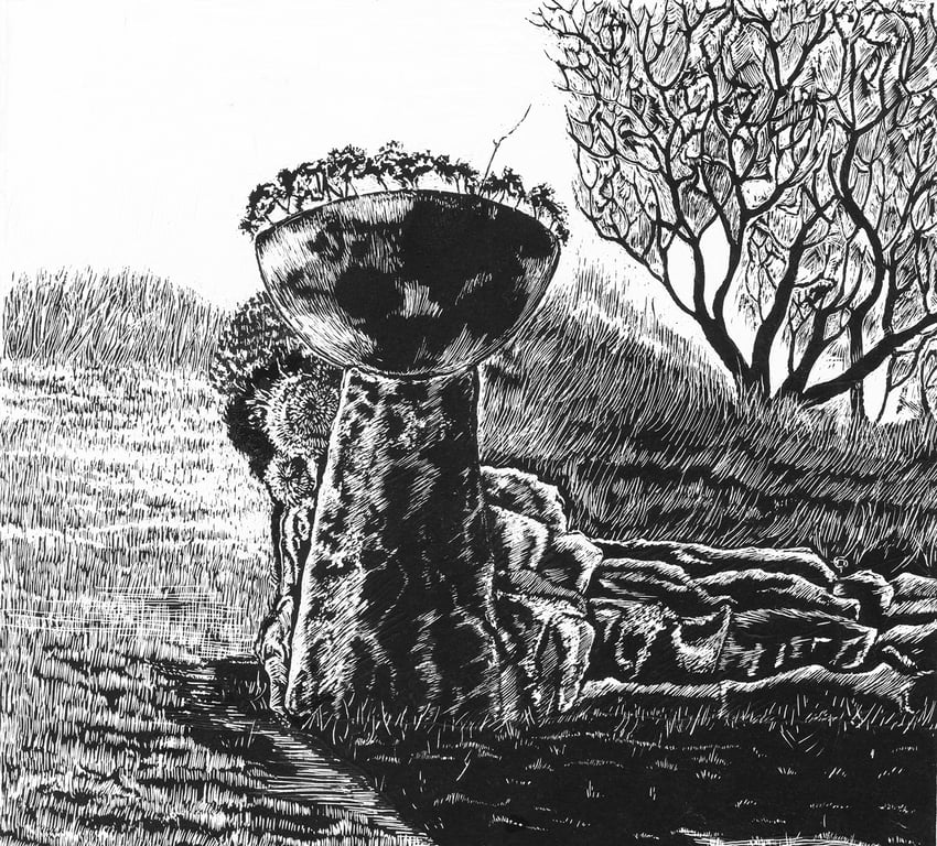 Margaret Jones Saddlestone with Sedum