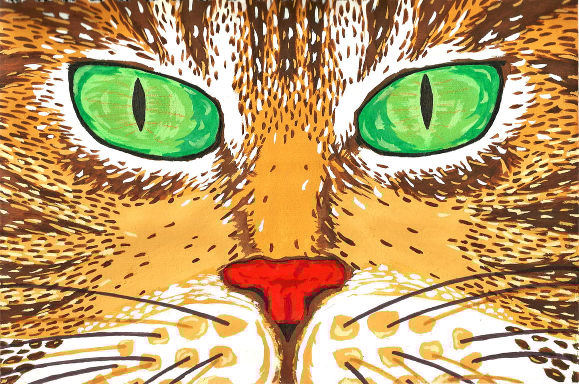 James Anthony Cuggy Tabby Face
