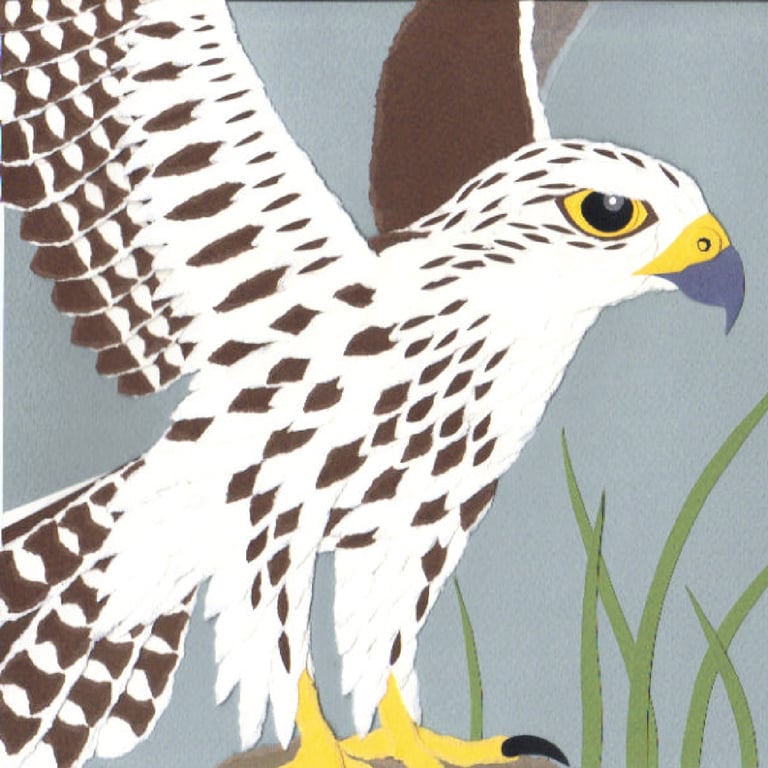 Janice Nicolson Saker Falcon